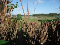 DSCF1549 [Ré§¸olution de l'é¦—ran].JPG