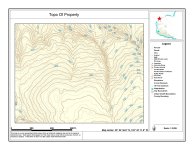 Topo of Part of Property.jpg