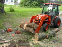 Elm Down 008.JPG