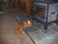 dogfire.JPG