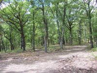 100_0033x (Medium).jpg