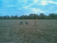 cornmaze.jpg