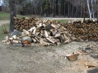 Chainsaws 008.jpg