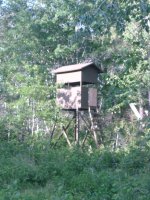 deer stand 014.jpg