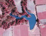 pond.jpg