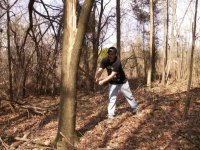 RickSplittingTree.jpg