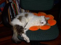 PICT0472.JPG