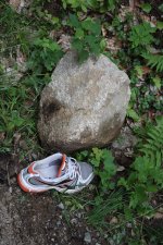 IMG_4159.JPG