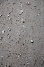 IMG_4162.JPG