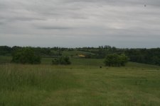 IMG_0008.JPG