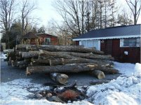logs1.JPG