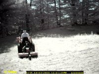 Game Camera 136.jpg