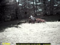 Game Camera 139.jpg