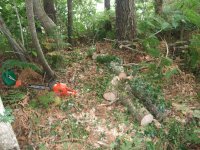 DSCF1655 [Ré§¸olution de l'é¦—ran].JPG