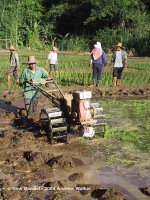 ploughing with iron buffalo.jpg