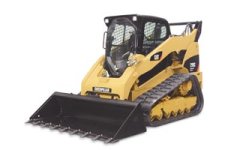 Cat 299c.jpg