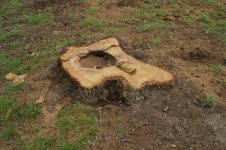 2009 - Stump Grinding 1_resize.JPG