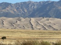 IMG_3909[1].JPG