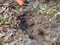 291713-04_Neigbors_Cable_1.jpg