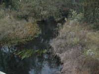 335125-creek resize.jpg