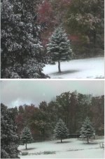 35-74356-FirstSnow10-8-2001.jpg