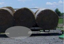 292546-hay.jpg