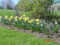 8-140681-spring2.jpg