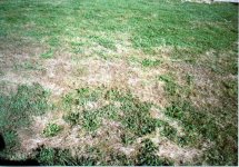 35-195408-before.jpg