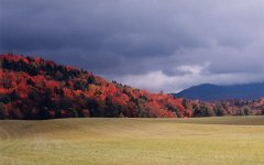 35-74836-ShawHill2.jpg