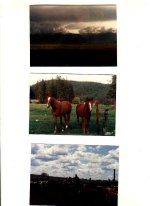 6-141280-ranch1.jpg