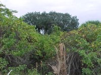 292816-land004.jpg