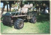 292823-buggy1.jpg