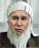 6-74884-bush.jpg