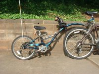 293184-bike.jpg
