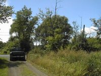 293830-Image024b.jpg