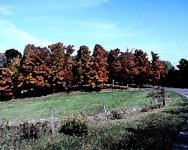 35-75164-fall7m.JPG