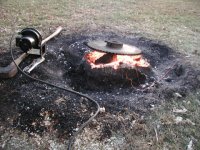 33-196153-stump2s.JPG