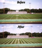 1-142990-striping1.jpg