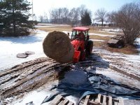 247312-Big Bale.jpg