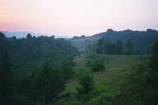 1-75827-mts1.jpg