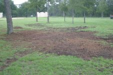 2009 - Stump Grinding 27_resize.JPG