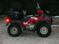 bikercat.JPG