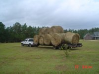 DSC00964.JPG
