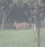 IMG_0039 B.jpg