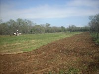 DSCN0090.JPG