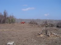 Clearing 003.jpg