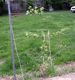 DSCN4898.jpg