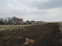 20090425250409_16.JPG