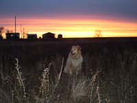 20090416160409_2.JPG