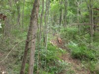 DSCN0811.JPG